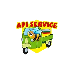 Api service