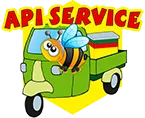 Api service